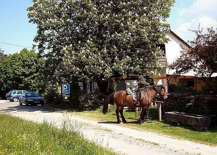 Gasthaus-pension Zum Brandweiher