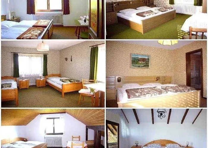 Gasthaus-pension Zum Brandweiher 3* Amorbach